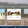 2027 Friends of Sable Island Calendar